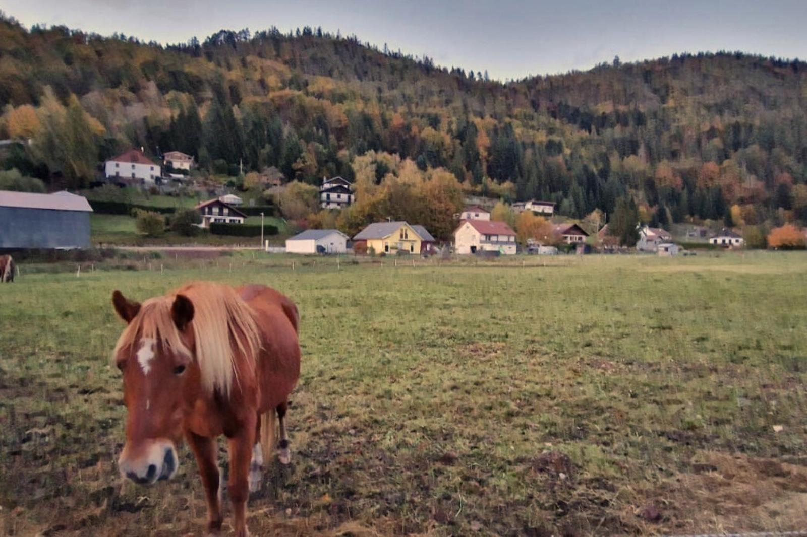 Villa Le Vivaldi, Au Coeur Du Massif Vosgien Avec Terrain De Petanque Rochesson Exterior foto