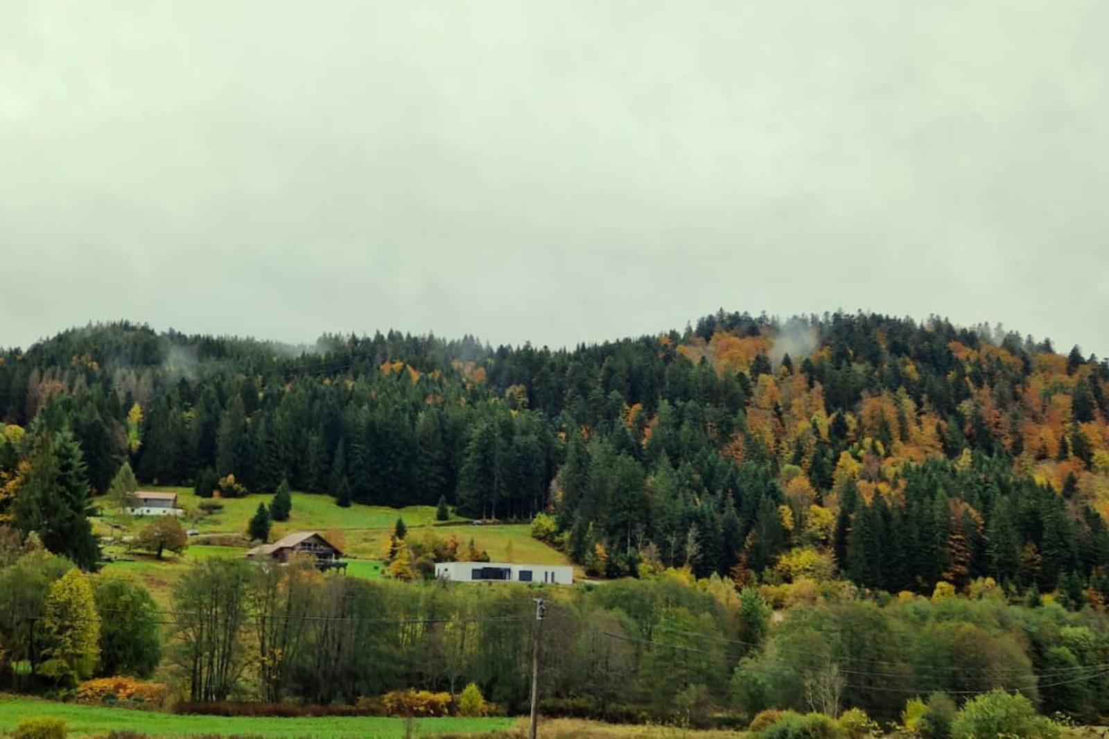 Villa Le Vivaldi, Au Coeur Du Massif Vosgien Avec Terrain De Petanque Rochesson Exterior foto